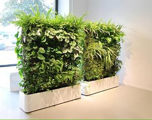 室內花箱